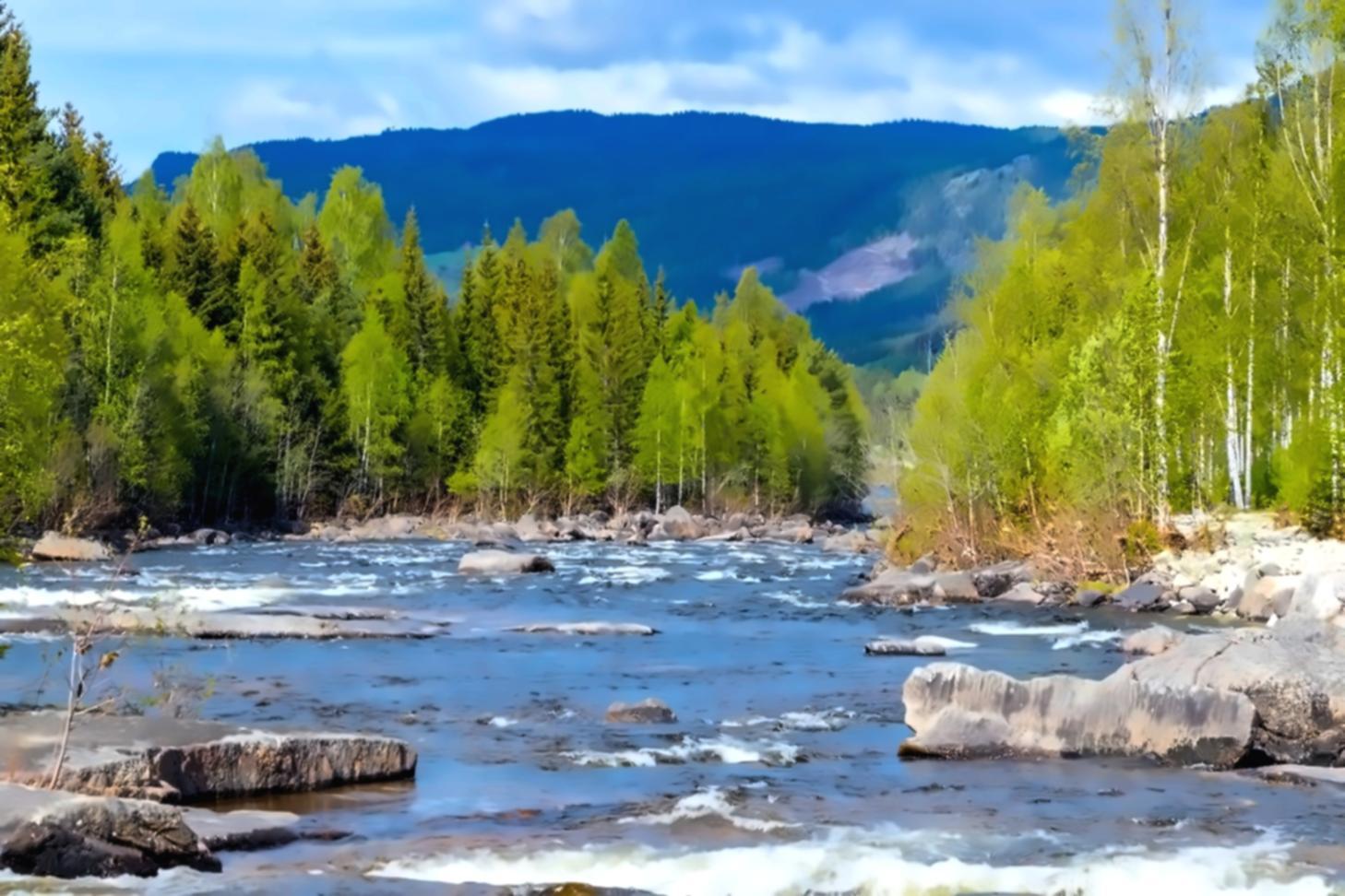 Participants d'un atelier d'écologie urbaine à Nantes