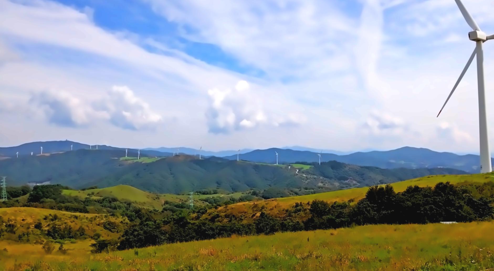 Écologie urbaine en pratique — ateliers Aurelithomari