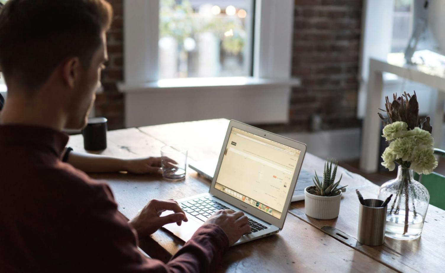 Travaux pratiques d'écologie en ville